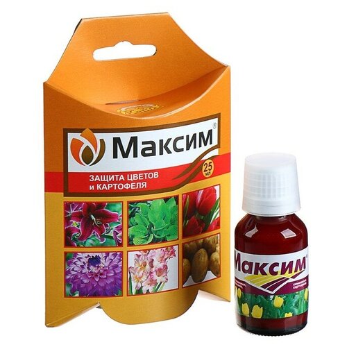 ���� ���� ��������� �������� �� �������� �������� ������, 25 ��, 75 � ������ ������