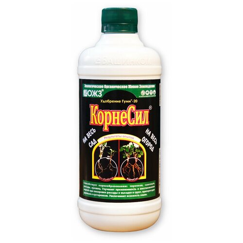 ���� C��������� ���������������� 