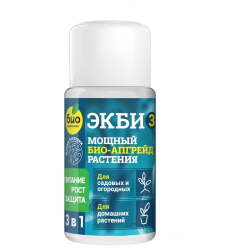 ���� ��������� ���-�������� ���� 3 ��� �������, ��������� � �������� ��������, 0.05 �, 50 �, 1 ��. ������ ������