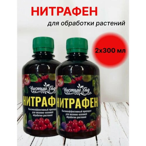 ���� ��������. ������ ��������, ���������������, 600�� ������ ������