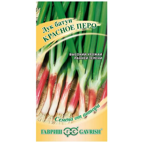 ���� ������ ��� ����� ������� ����, 0,5�, ������, ������ �� ������, 10 �������� ������ ������