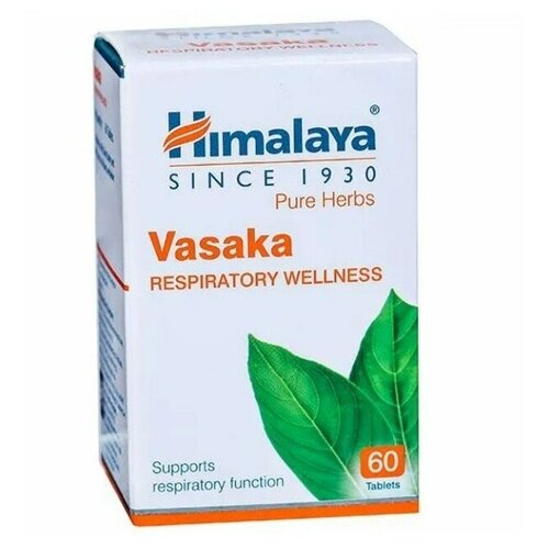 ���� Vasaka, 60 ��. ������ ������