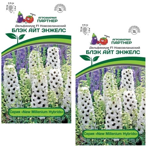 ���� ������ ���������� �������. ���� ��� ������ /��������� �������/ 2 ��������,6 ����� ������ ������