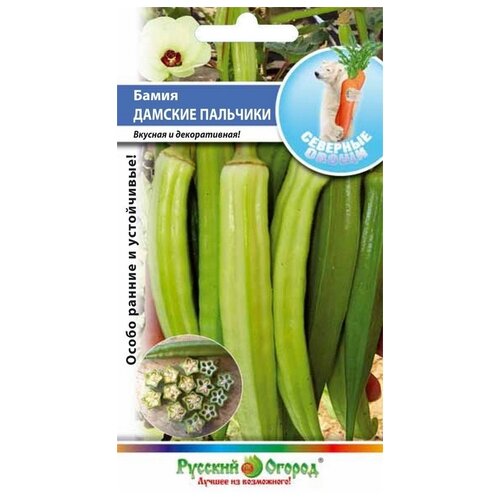 ���� ������ ������� ������ �������� ����� ����� ������� ��������, 10 �� ������ ������