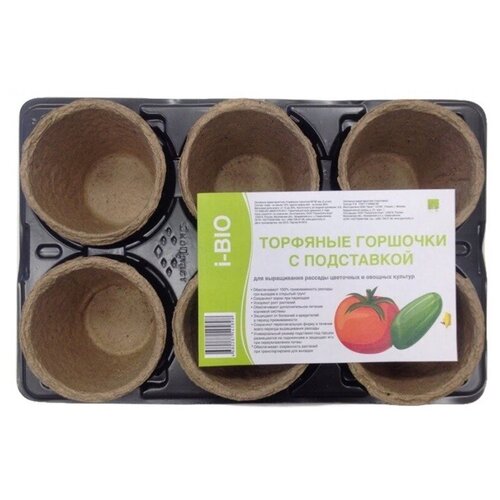 ���� ����� �������� ������� ��� ������� ��������� 6�� 8�8�� � ���������� ������ ������