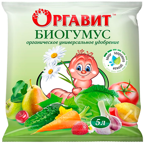 ���� ��������� ������� �������� 5 � ������ ������