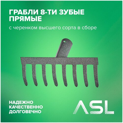  ASL  8-       1200    -     , -, 