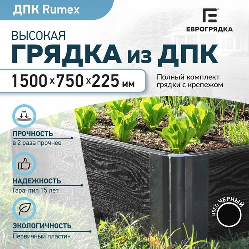     1.5   0.75 , ( Rumex: 22530 , : )  