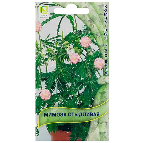 ���� ������ ��������� (0,3 �), 2 ������ ������ ������