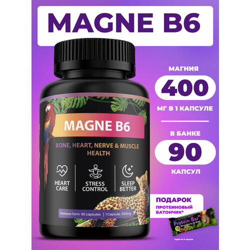 ���� ������ � ������� �6 � �������� ������ ������