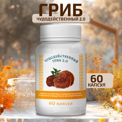 ���� ��������������� ���� �� ��������� � �������� ������ ������