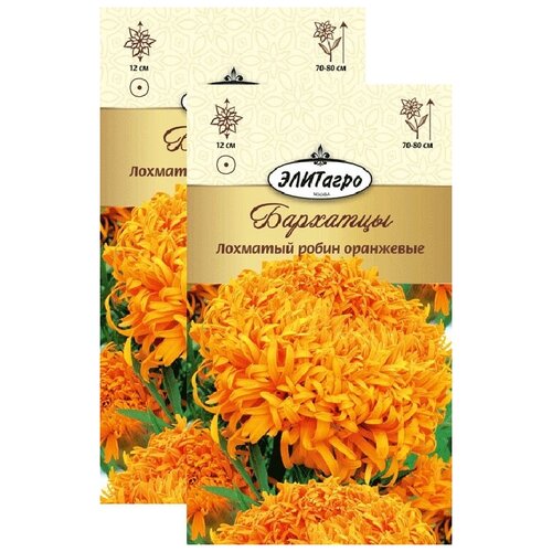 ���� �������� �������� ����� ��������� (0,2 �), 2 ������ ������ ������