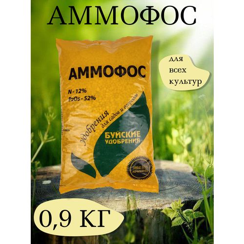 ���� ��������� �������, 0,9 ��. - 1 ��������, ������� ��������� ������ ������