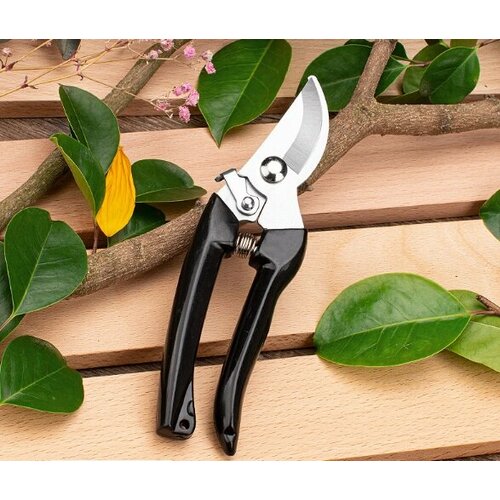 ���� ������� ������ ������ ������