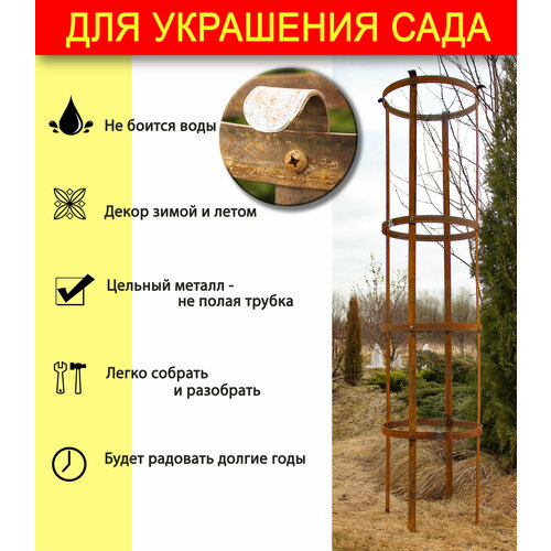 ���� ����� ��� ���� - ����� ��� ��������� ���� / ������� /������� 