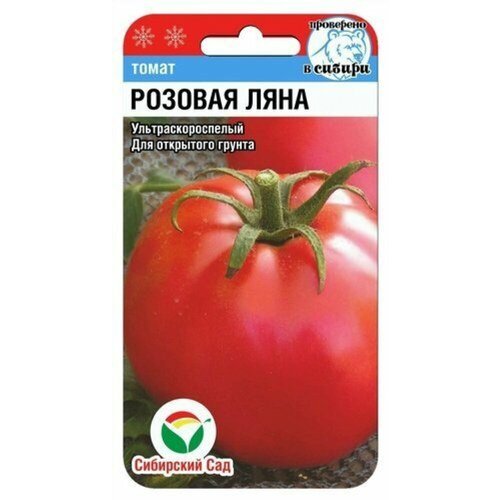 ���� ������ ����� ������� ���� F1 20�� ��� ������ (��������� ���) ������ ������