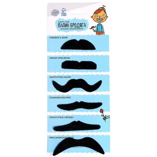 ���� ����� ���� 