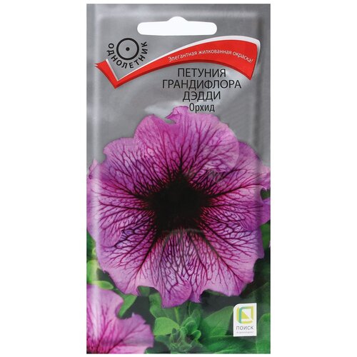 ���� ������ ����� ������� ����������� ����� �����, 10 �� ������ ������