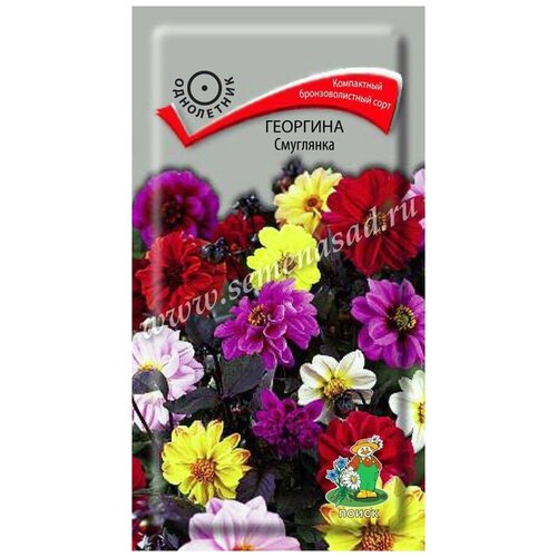 ���� �������� ��������� 730776 ������ ������