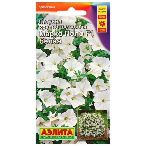 ���� ������ ������� 