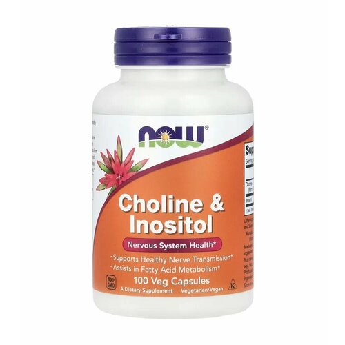 ���� NOW Choline & Inositol ��� ����� � ��������, 500mg 100 Veg Caps ������ ������