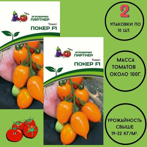 ���� ������ ������ ��������� ������� 