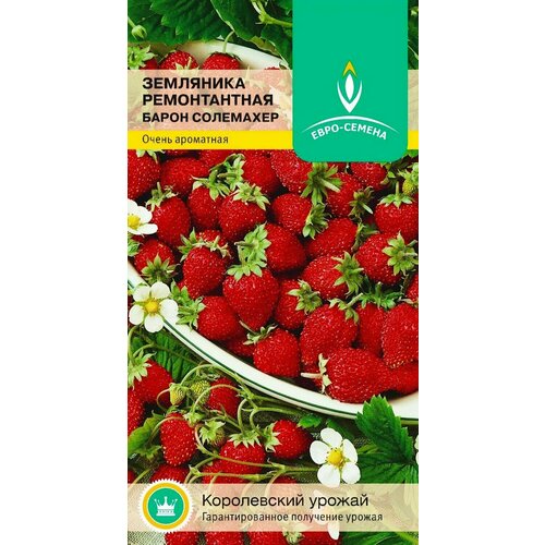 ���� ��������� ������������ ����� ���������. ������. ����������� ���� � ����������� ������� ������ �� 4 ��. 1 ����� 0,03�� ������ ������