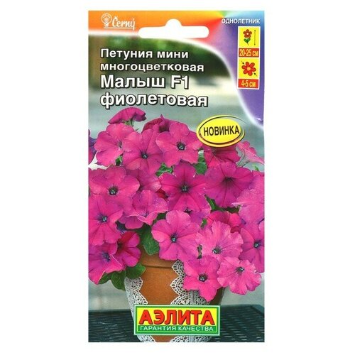 ���� ������ ������� ���� ����� F1 ���������� ��������������, 7 �� ������ ������