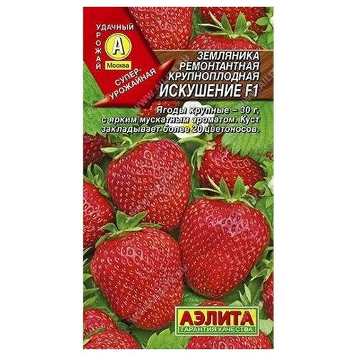 ���� ������. ��������� ������������ ������������� 