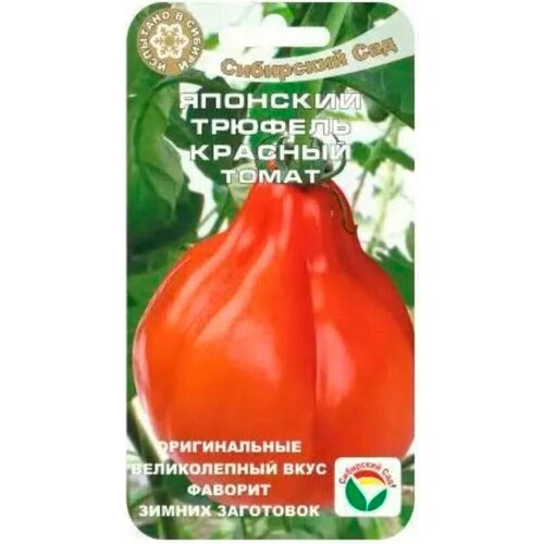 ���� ������ ����� �������� ������� ������� 20�� ����� (��������� ���) ������ ������