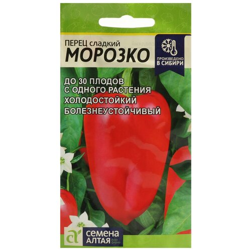 ���� ������ ����� 