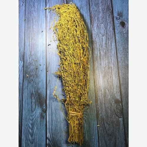 ���� ����� ��� ���� ������ ������ � ������� �������� - ����� ���� ������ ������