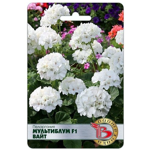 ���� ������ ���������� 