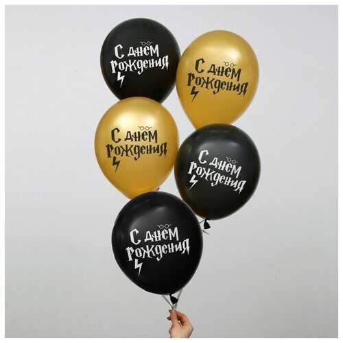 ���� ������ ���������� ��� ��������� �� ���� ���������, ������, 5 ��, 12