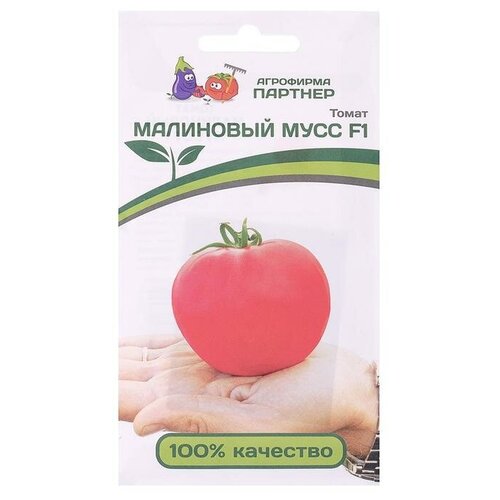 ���� ������ ����� 