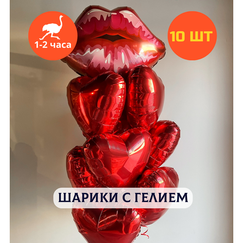 ���� ������ ��������� �� ���� ��������, ��������� ���� � ������, ���� � ���� ��������, ����� ����� ��� ������� 