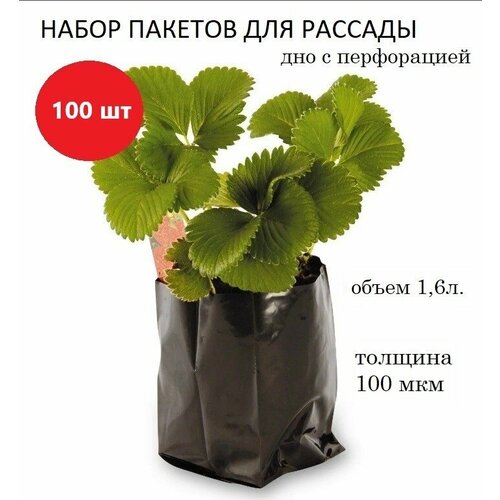 ���� ����� ��� ������� 1,6�, ������� 100���, ������, 100��. ������ ������