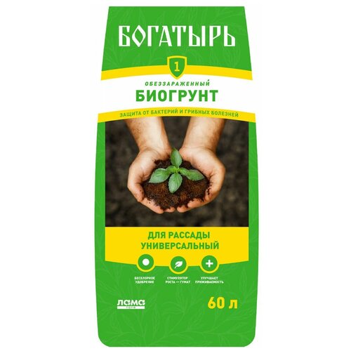 ���� ����� �������� ��� ������� ������������� 60� ������ ������