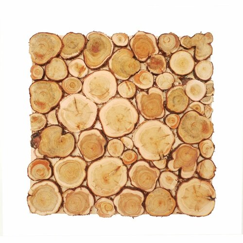 ���� ����� �� ������ ������������� 400�400 �� ������ ������