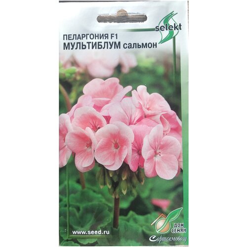 ���� ���������� F1 ���������� �������, 4 ����� ������ ������