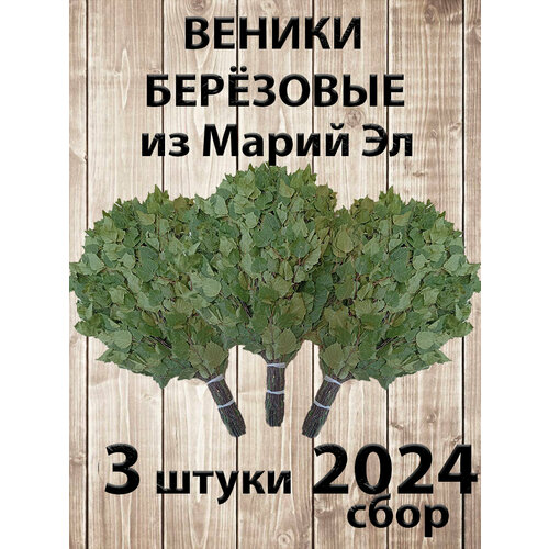      3   ,  2024    -     , -, 