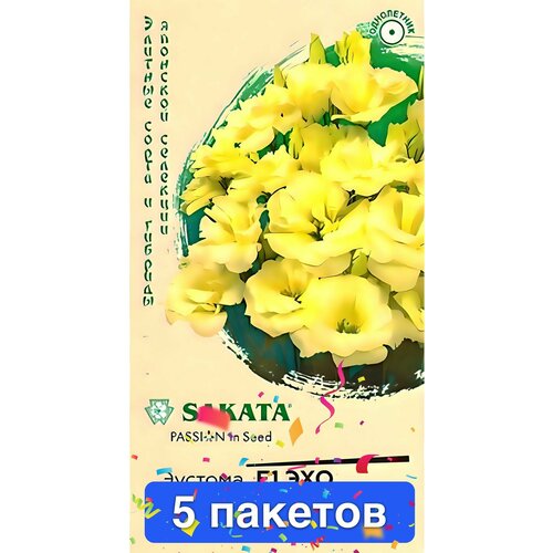 ���� ����� ������� ��� ������ F1 5 ������� ������ ������