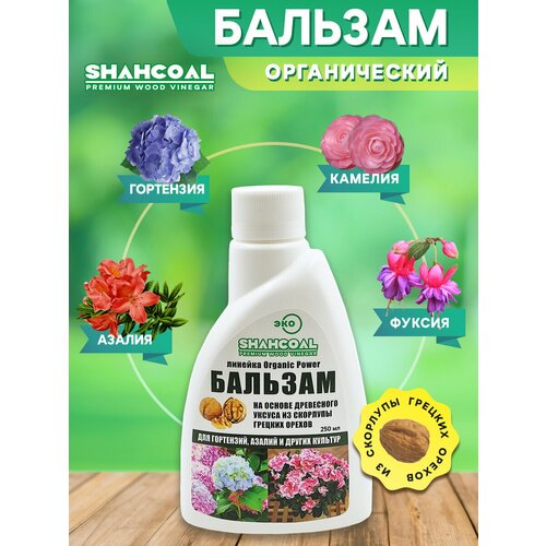 ���� ������� ��� �������� �������� (���������, ������, ������, �������) ������������ ��������� ���������� ������ ������