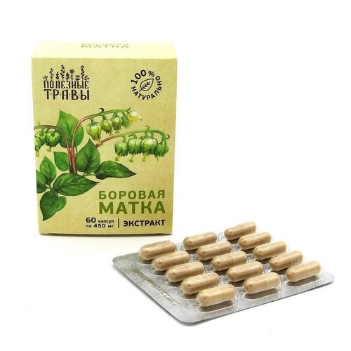 ���� �������� ����� � ������� �������� ����� ������� �����, 6 �, 60 ��. ������ ������