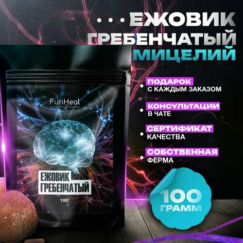 ���� ������ ����������� ������� � ������� 100 ����� ������ ������