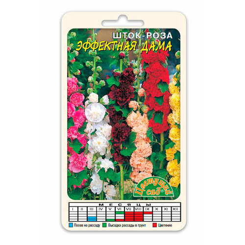 ���� ����-���� ������������� ��������� ���� ����� ������� (������ �������� ���, 0,2 � ����� � ��������) ������ ������