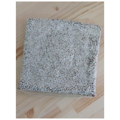 ���� ������� ������� ������ ������