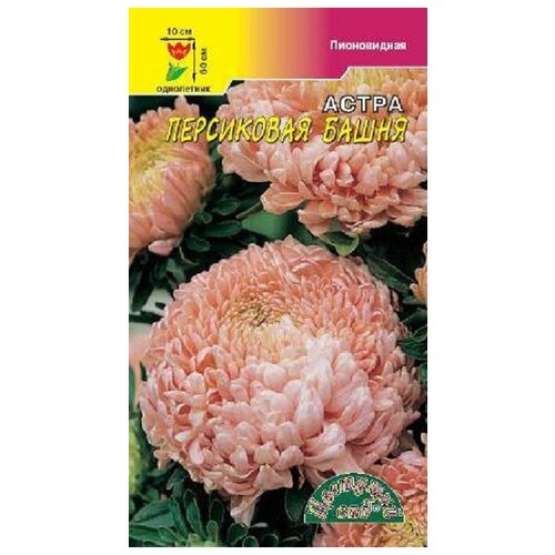 ���� ������ �������� ��� 