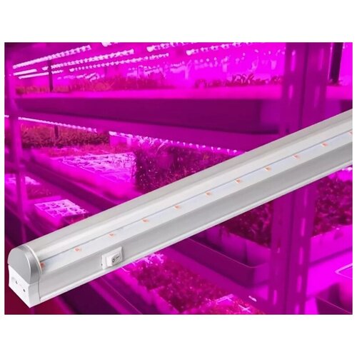  C   Foton Lighting FOTON FL-LED T4-14W PLANTS 22*30*873 14 220   (  : 2101017  2101018)   -     , -, 