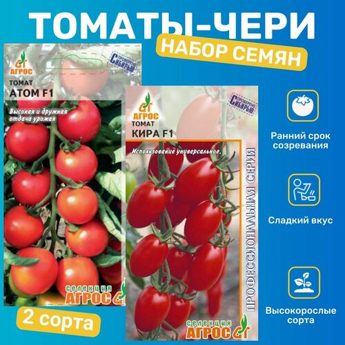 ���� ������ ������� - ����� / ����, ���� ������ ������